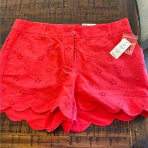 Crown & Ivy shorts